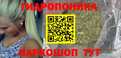 хмурый Тула