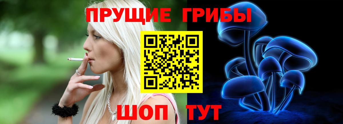 Псилоцибиновые грибы мицелий Аша